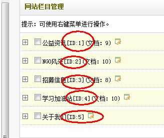 网站栏目管理 网站栏目管理
